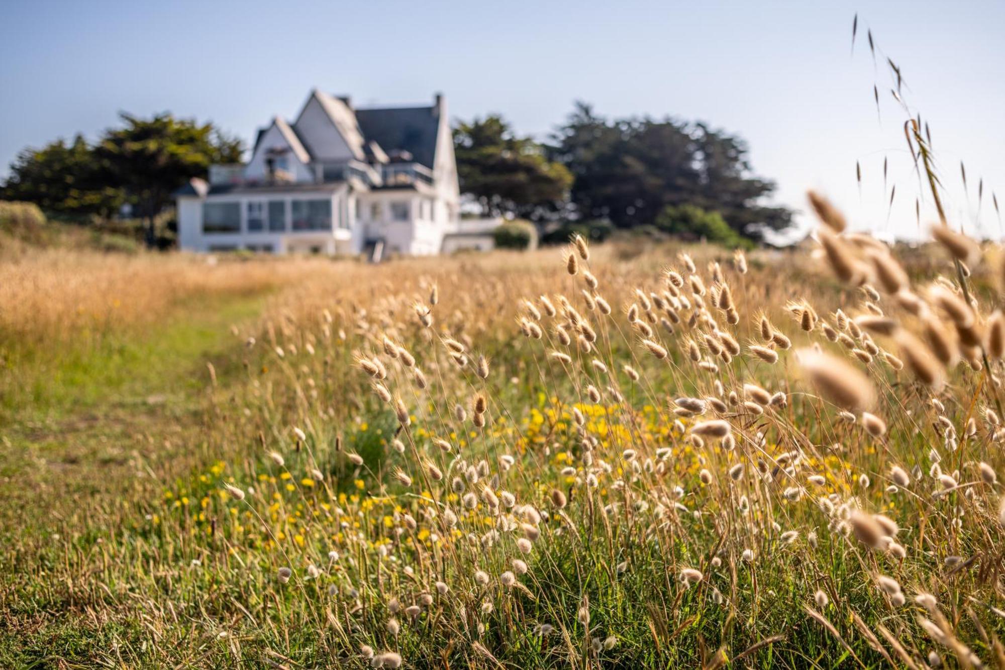 Hotel Le Lichen De La Mer บาตซ์-ซูร์-แมร์ ภายนอก รูปภาพ